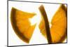 Slice of Orange Cut into Two Pieces, Backlit-Foodcollection-Mounted Photographic Print