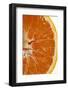 Slice of Orange (Detail)-Foodcollection-Framed Photographic Print