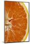 Slice of Orange (Detail)-Foodcollection-Mounted Photographic Print