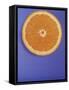 Slice of Orange-Gerrit Buntrock-Framed Stretched Canvas