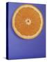 Slice of Orange-Gerrit Buntrock-Stretched Canvas