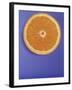 Slice of Orange-Gerrit Buntrock-Framed Photographic Print