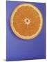 Slice of Orange-Gerrit Buntrock-Mounted Photographic Print