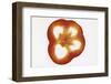 Slice of Red Pepper, Backlit-Foodcollection-Framed Photographic Print