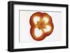 Slice of Red Pepper, Backlit-Foodcollection-Framed Photographic Print