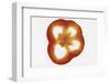 Slice of Red Pepper, Backlit-Foodcollection-Framed Photographic Print