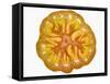 Slice of Tomato-null-Framed Stretched Canvas