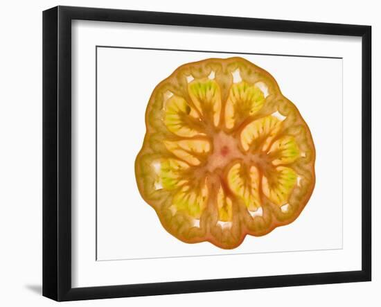 Slice of Tomato-null-Framed Photographic Print