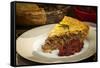 Slice of Traditional Pork Meat Pie Tourtiere with Apple and Cranberry Chutney from Quebec, Canada.-elenathewise-Framed Stretched Canvas