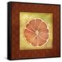 Slice Orange-Kory Fluckiger-Framed Stretched Canvas