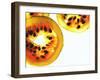 Sliced Passion Fruit-null-Framed Photographic Print