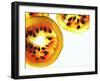 Sliced Passion Fruit-null-Framed Photographic Print