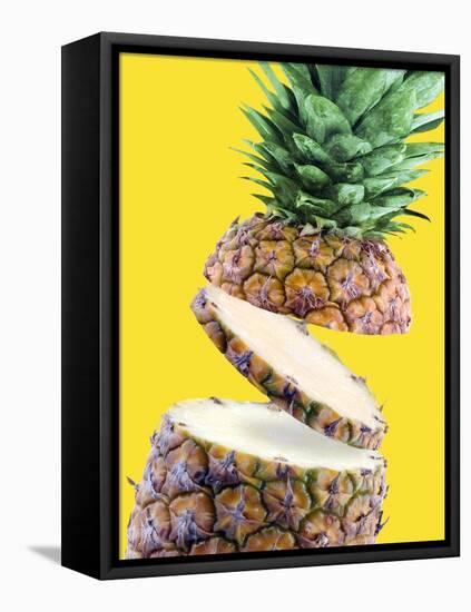 Sliced Pineapple-Victor Habbick-Framed Stretched Canvas