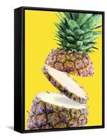 Sliced Pineapple-Victor Habbick-Framed Stretched Canvas