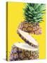 Sliced Pineapple-Victor Habbick-Stretched Canvas