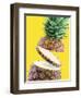 Sliced Pineapple-Victor Habbick-Framed Premium Photographic Print