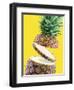 Sliced Pineapple-Victor Habbick-Framed Premium Photographic Print