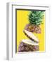 Sliced Pineapple-Victor Habbick-Framed Premium Photographic Print