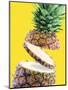 Sliced Pineapple-Victor Habbick-Mounted Premium Photographic Print