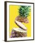 Sliced Pineapple-Victor Habbick-Framed Photographic Print