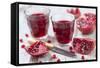 Sliced Pomegranates, Cores and Glasses with Pomegranate Juice-Jana Ihle-Framed Stretched Canvas