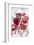 Sliced Pomegranates, Seeds and Glass with Pomegranate Juice-Jana Ihle-Framed Photographic Print