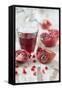 Sliced Pomegranates, Seeds and Glass with Pomegranate Juice-Jana Ihle-Framed Stretched Canvas
