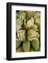 Sliced Raw Mangoes Displayed for Sale, Kanyakumari, Tamil Nadu, India, Asia-Balan Madhavan-Framed Photographic Print