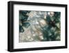 Sliced rock crystals of a geode-Zandria Muench Beraldo-Framed Photographic Print