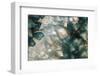 Sliced rock crystals of a geode-Zandria Muench Beraldo-Framed Photographic Print