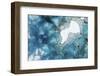 Sliced rock crystals-Zandria Muench Beraldo-Framed Photographic Print