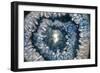 Sliced rock crystals-Zandria Muench Beraldo-Framed Photographic Print