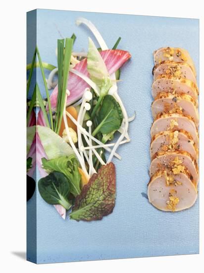 Sliced Swordfish Fillet and Salad Garnish-Joerg Lehmann-Stretched Canvas