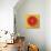 Sliced Watermelon Flat Icon-Yulia Ryabokon-Stretched Canvas displayed on a wall