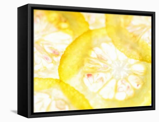 Slices of Orange-Paolo Nobile-Framed Stretched Canvas