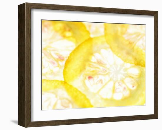 Slices of Orange-Paolo Nobile-Framed Photographic Print