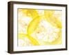 Slices of Orange-Paolo Nobile-Framed Photographic Print
