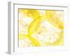 Slices of Orange-Paolo Nobile-Framed Photographic Print