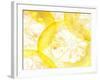 Slices of Orange-Paolo Nobile-Framed Photographic Print