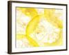 Slices of Orange-Paolo Nobile-Framed Photographic Print