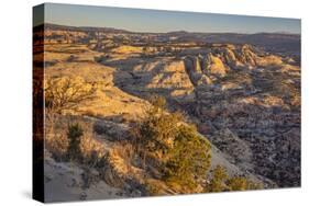 Slickrock, Escalante, Utah-John Ford-Stretched Canvas