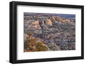 Slickrock, Escalante, Utah-John Ford-Framed Photographic Print