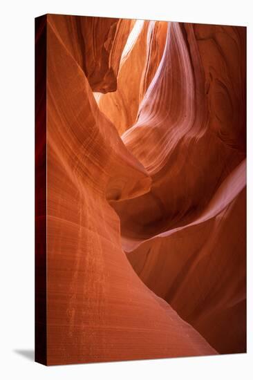 Slickrock formations in lower Antelope Canyon, Navajo Indian Reservation, Arizona, USA.-Russ Bishop-Stretched Canvas