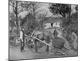 Slide Car with Straw-Harnessed Mountain Pony, Glendun, County Antrim, C.1895-Robert John Welch-Mounted Giclee Print