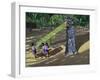 Slide, Mysore, 2001-Andrew Macara-Framed Giclee Print