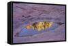 Slide Rock State Park, Oak Creek, Sedona, Arizona-Rob Sheppard-Framed Stretched Canvas