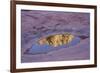 Slide Rock State Park, Oak Creek, Sedona, Arizona-Rob Sheppard-Framed Photographic Print