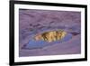 Slide Rock State Park, Oak Creek, Sedona, Arizona-Rob Sheppard-Framed Photographic Print