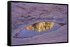 Slide Rock State Park, Oak Creek, Sedona, Arizona-Rob Sheppard-Framed Stretched Canvas