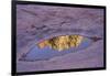 Slide Rock State Park, Oak Creek, Sedona, Arizona-Rob Sheppard-Framed Photographic Print